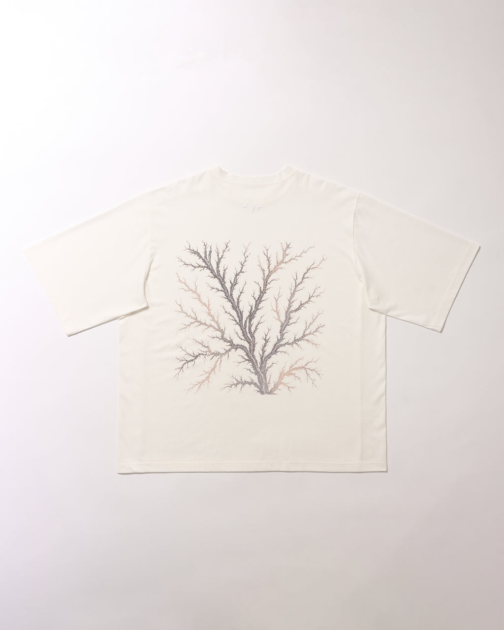 LICHTENBERG T