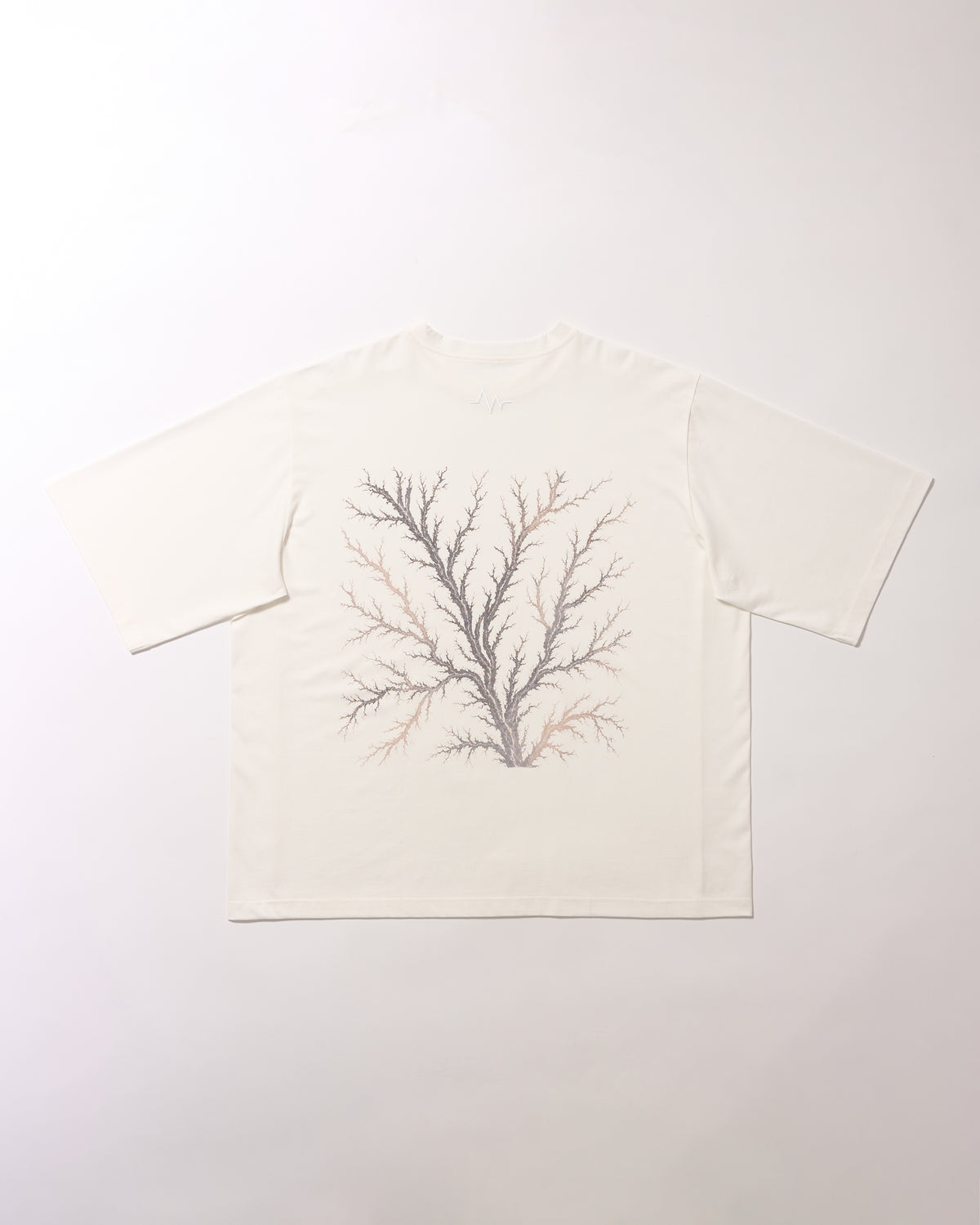 LICHTENBERG T